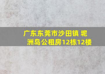 广东东莞市沙田镇 坭洲岛公租房12栋12楼